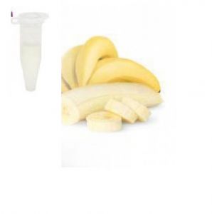 Ароматизатор Capella Flavors USA Банан 1 мл ― Eco-Life